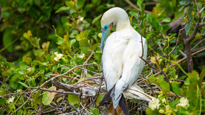 Watch the early-morning sunrise over a lagoon