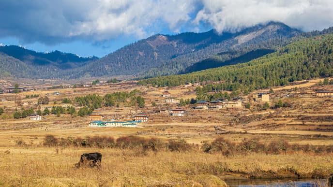Glacier Valley adventure