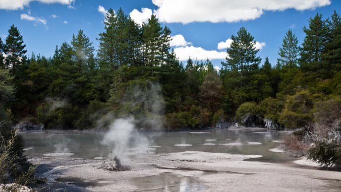 Maori culture in Rotorua