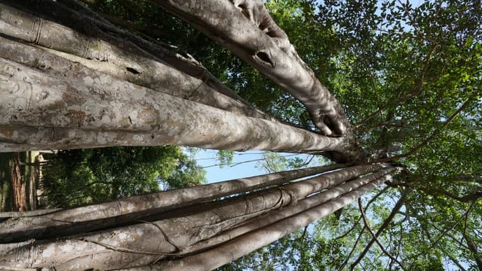 Ancient architectural wonders