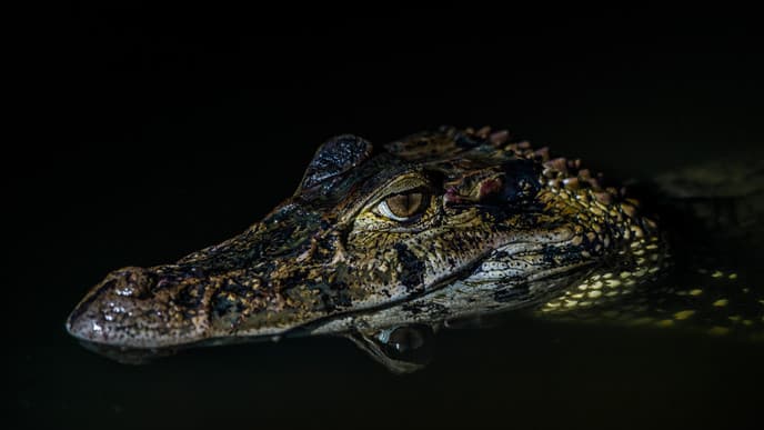 Zurück in die Zivilisation