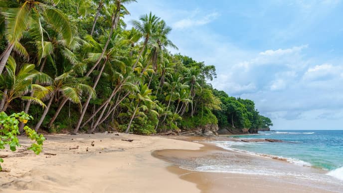 Relax in island paradise