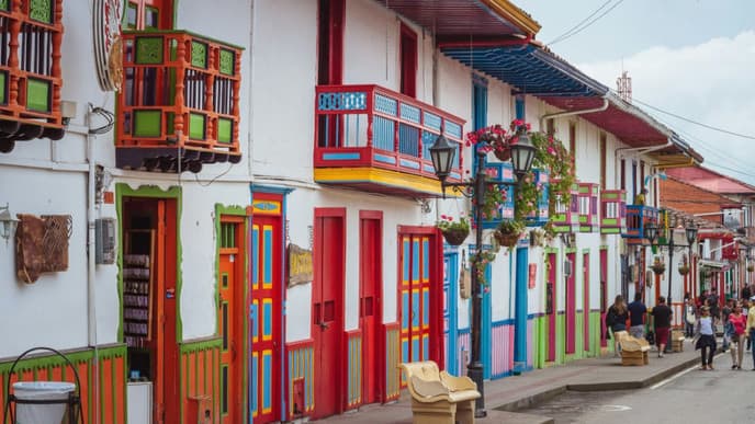 Dive into Colombia's coffee region