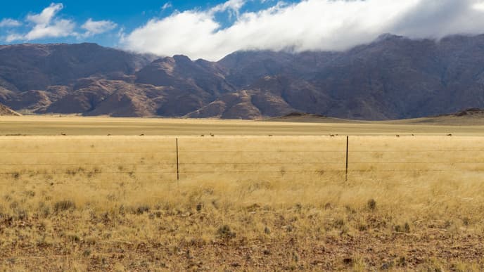 Visit Stunning Walvis Bay