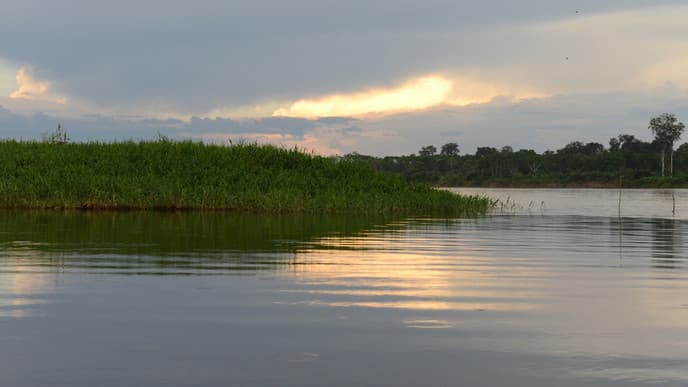 In search of pink dolphins