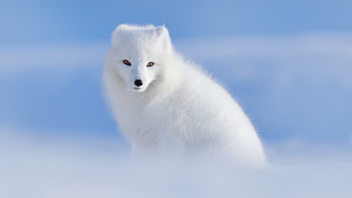 North to Isafjordur Bay