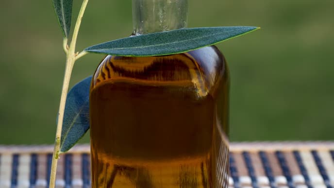 Learning about oil production, the liquid gold