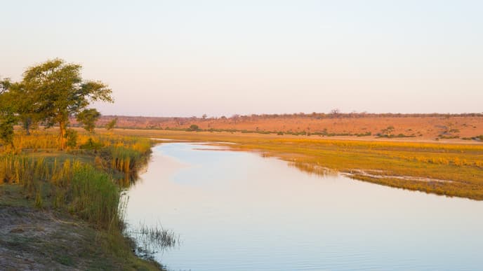 Take a deeper dive into Chobe National Park