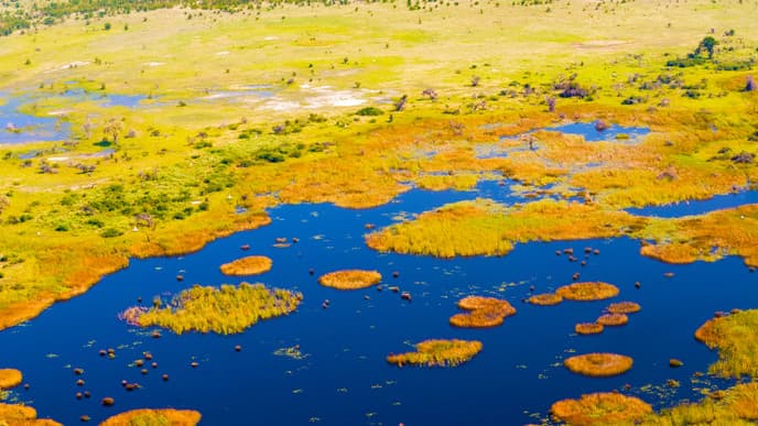 Am Ufer des Thamalakane Rivers