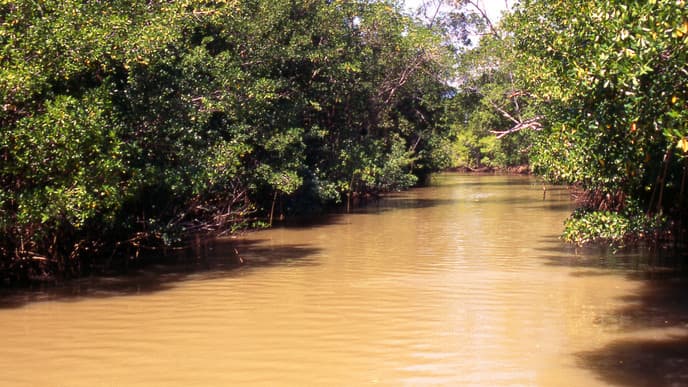 Travel down the Amazon River