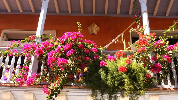 Explore the Gastronomy of Colombia