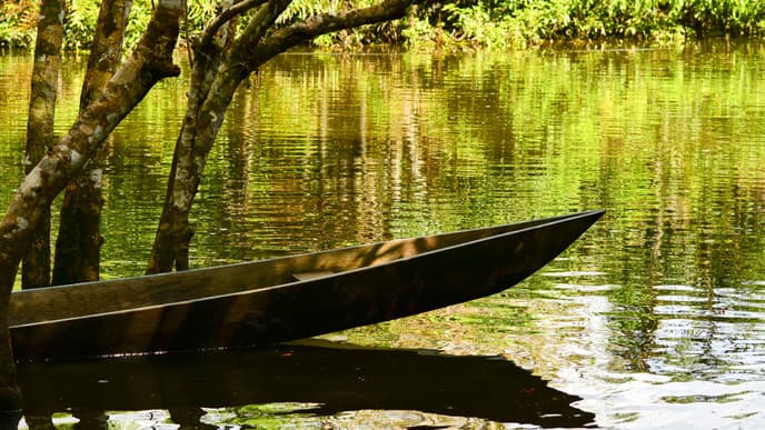 Wildlife & sustainable communities in Yasuni