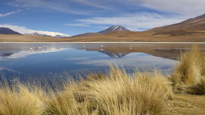 Discover the Bolivian Desert Highlands