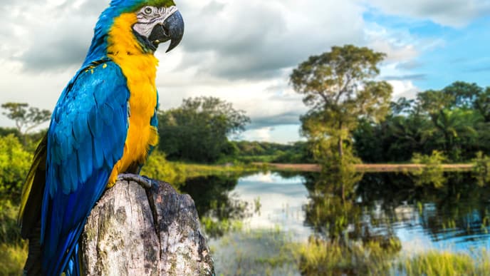 Willkommen in Brasilien!