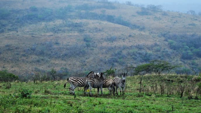 Cape Vidal & Game Drive at Falaza