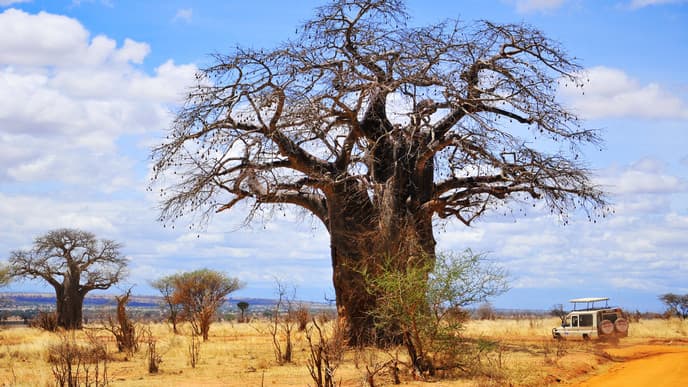 Wildlife & a wilderness retreat