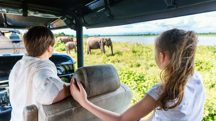 Galle Stadtrundfahrt & Wanderung im Regenwald