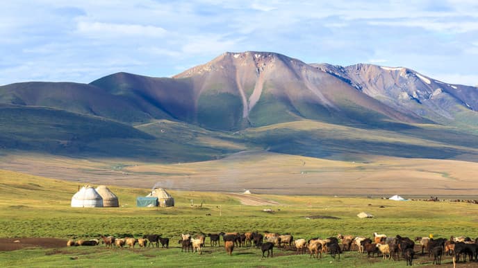 Local Handicrafts and a Traditional Music Show