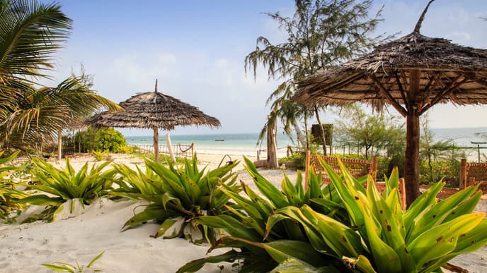 Welcome to a tropical paradise!