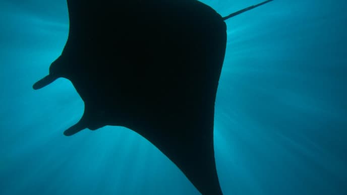 The beaches & coves of Nusa Penida