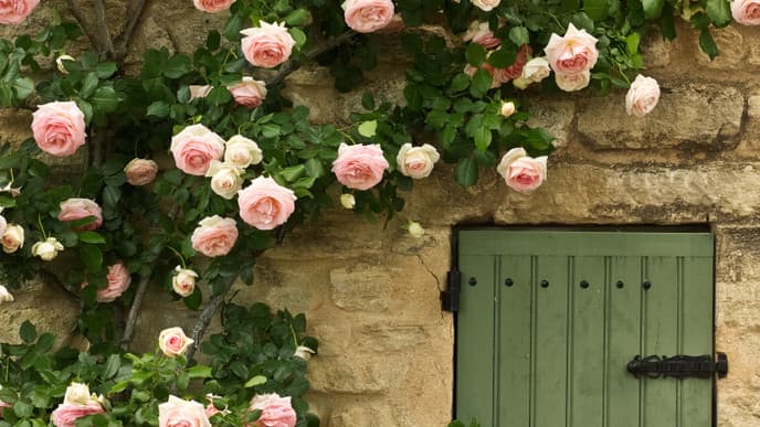 Enjoy the beauty of local villages