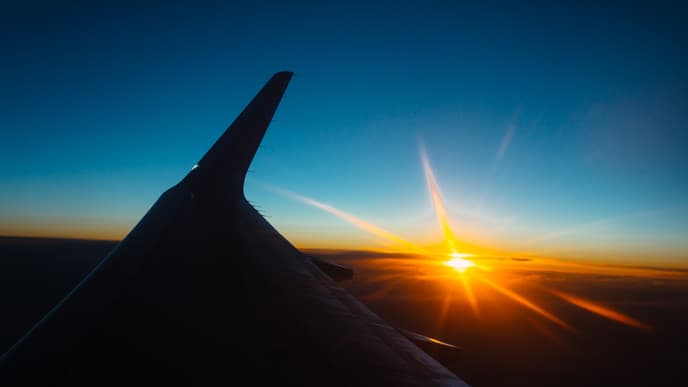 Homeward bound