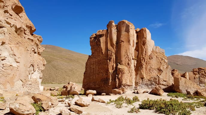 Rio Grande: Vicuñas und Nandus