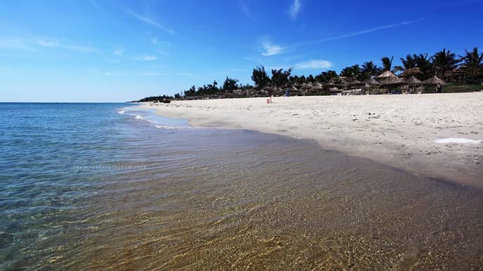 At leisure on the beach