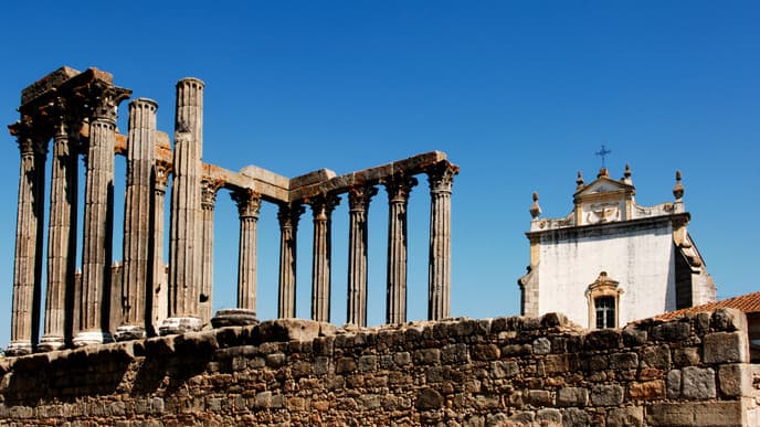 Guided tours of olive oil & history