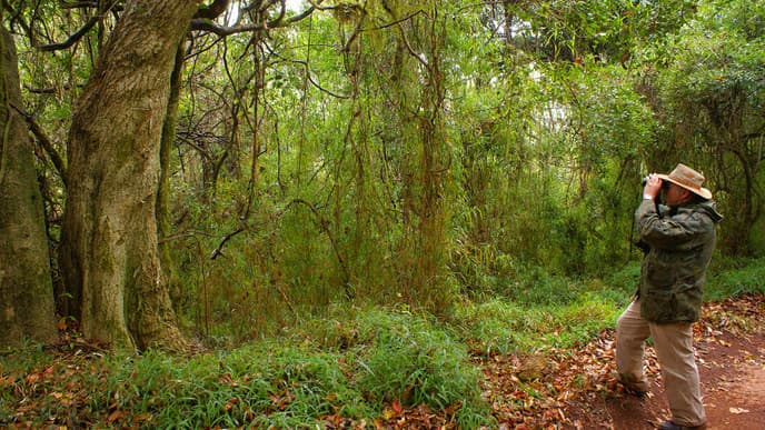 Umgeben von afrikanischem Busch