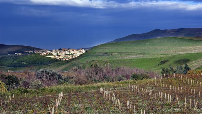 Locally made produce in Avola