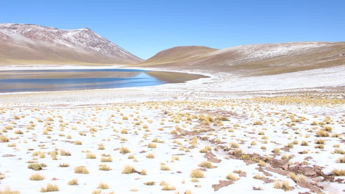 Discover the Expanse of the Desert