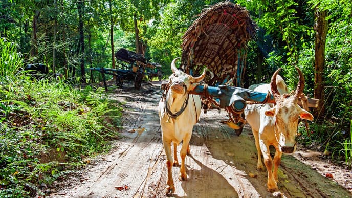 Meet the locals in Sigiriya