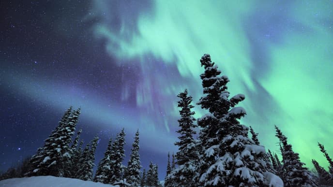 City tour & Northern Lights