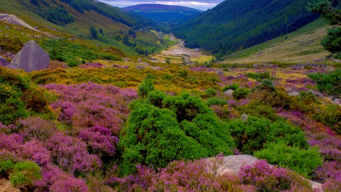Discover hidden gems to the east