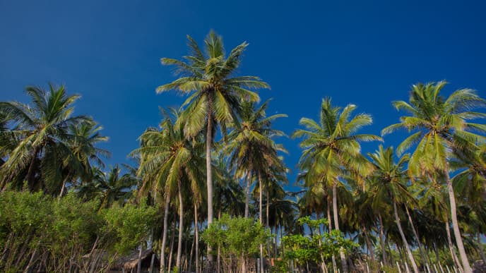 Entspannung am Strand