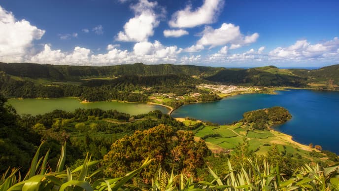 Discover the Marine Life of the Azores
