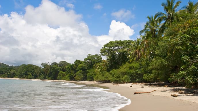 Zum Nationlapark Corcovardo