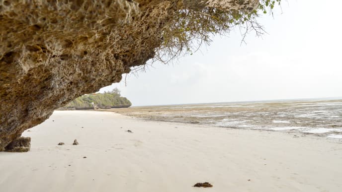 Experience Bamburi Beach