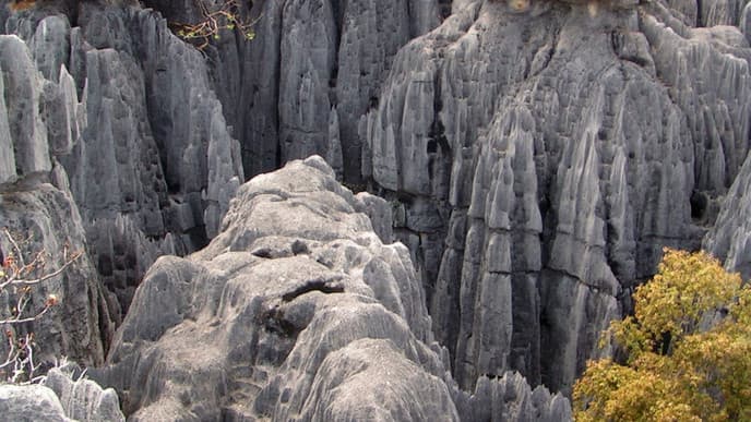 Discover The Grey Tsingy Of Ankarana