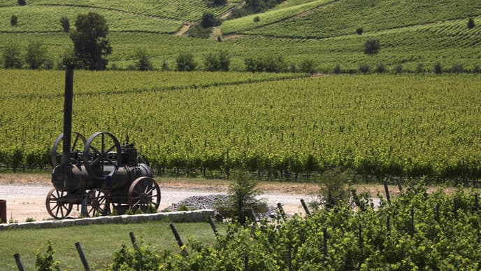 Wine Tasting and a Sunset Tour