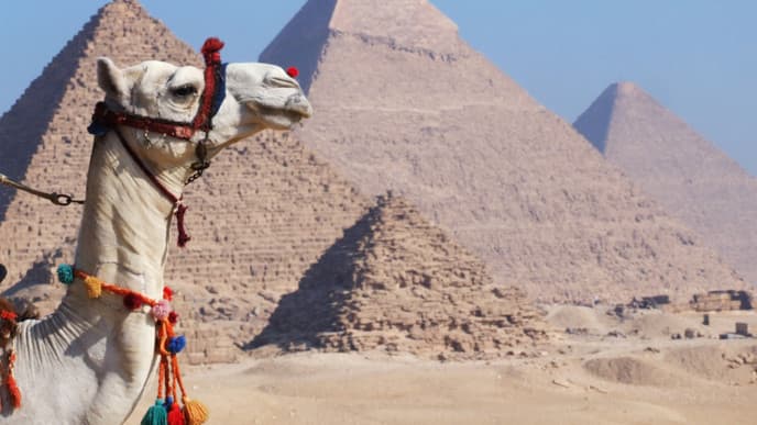 Discover the magical pyramids