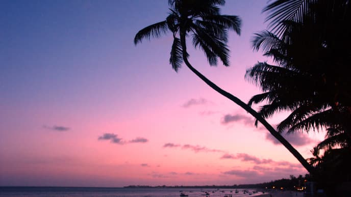 Enjoy Your Last Day At Bamburi Beach