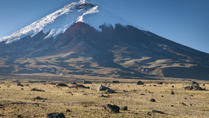 Explore the expanse of Cotopaxi National Park