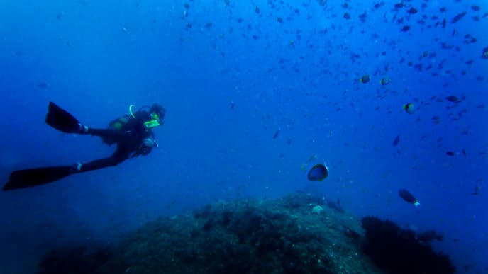Bootsfahrt & viele weitere Aktivitäten