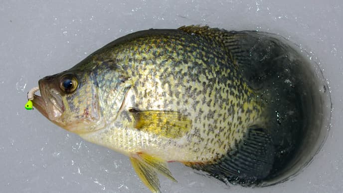 Enjoy a Day in Nature