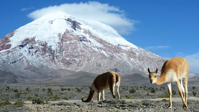 The High Andes