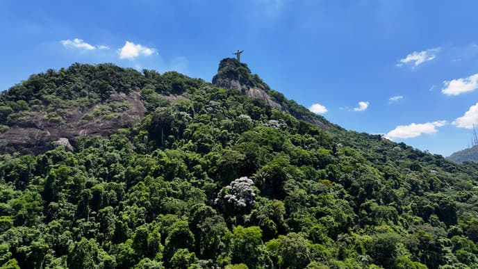 Wanderungen im Tijuca-Wald