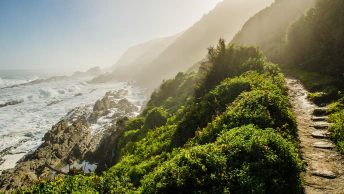 Tierwelt von Plettenberg Bay