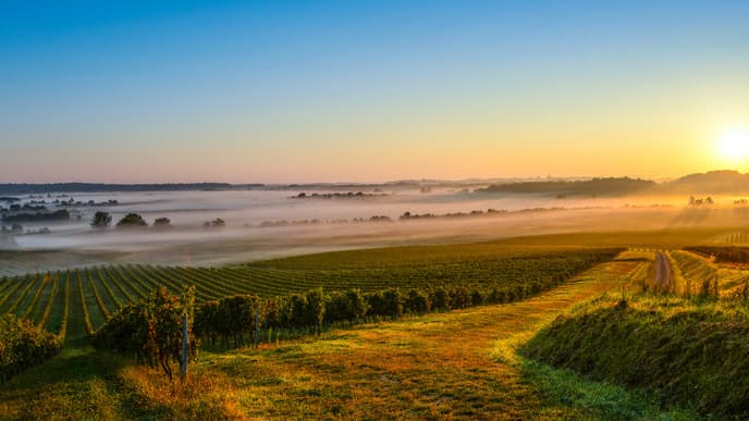Taste the Wines of Magical Medoc